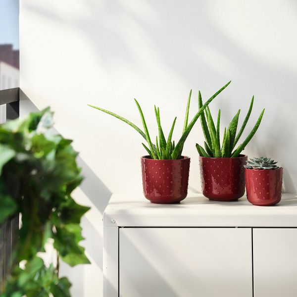 Кашпо, для дома, улицы коричнево-красный, 12 см IKEA SESAMFRÖN СЕСАМФРЁН 205.693.45 - схема-чертеж с размерами