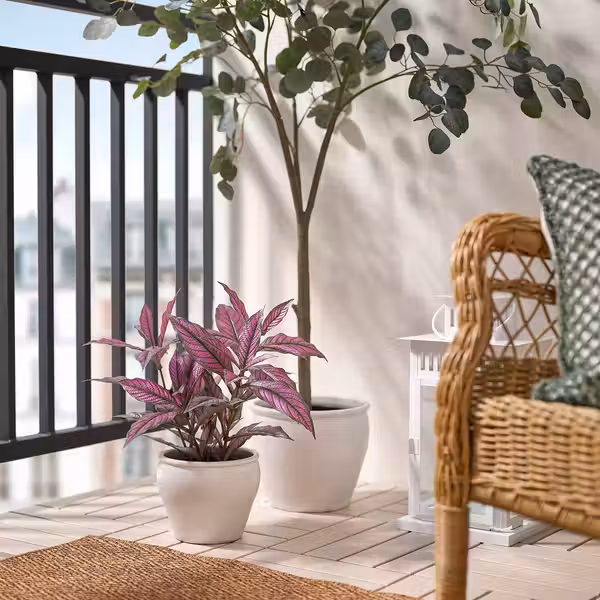 FEJKA Искусственное растение в горшке - д/дома/улицы Персидский щит 15 см - фото 3