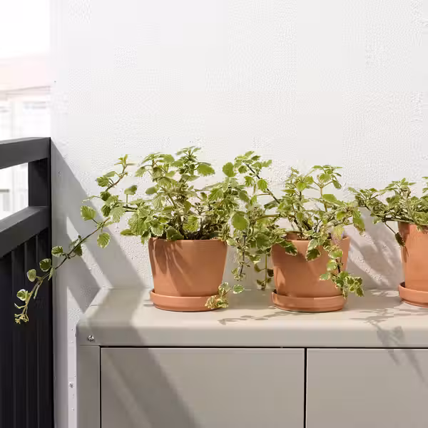 BRUNBÄR БРУНБЭР Горшок цветочный с поддоном - для сада терракота 12 см - фото 2