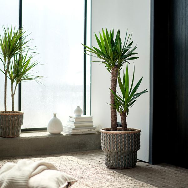 IKEA, дополнительный ракурс - схема-чертеж с размерами