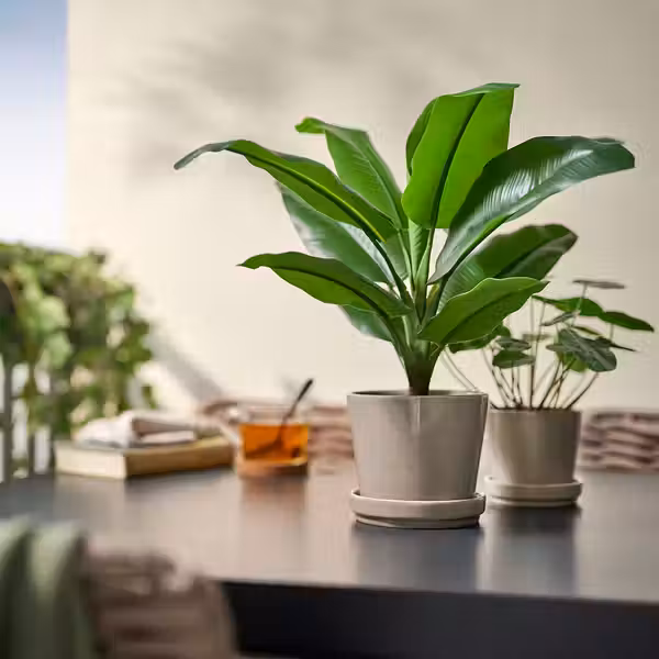 FEJKA Искусственное растение в горшке - д/дома/улицы Банан 12 см - фото 3