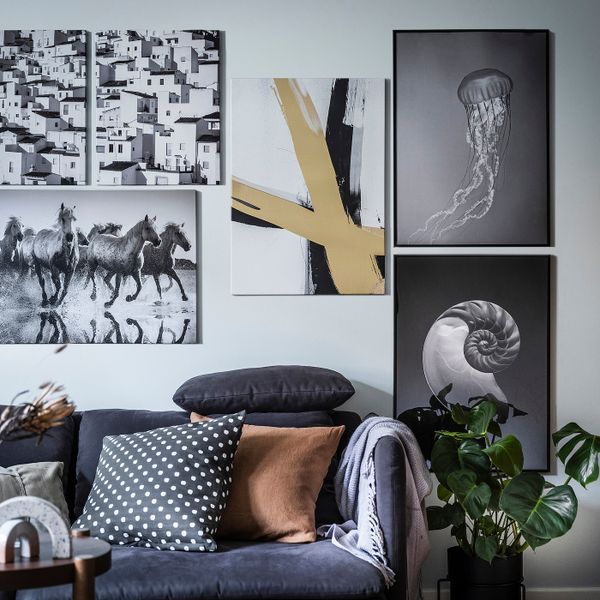 Постер, Раковина наутилуса и медуза 50x70 см IKEA BILD БИЛЬД 305.004.59 - фото 3