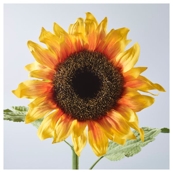 Цветок искусственный СМИККА, подсолнух желтый (60 см) - схема-чертеж с размерами