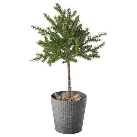 Искусственное растение и кашпо, для дома/улицы ель, стебель, 10 см IKEA ВИНТЕРФЕСТ 904.329.81