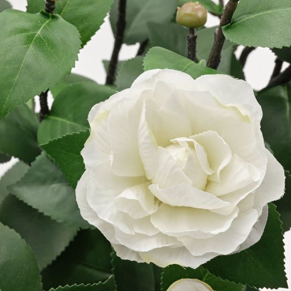 Искусственное растение в горшке, для дома, улицы/Камелия белый 19 см IKEA FEJKA ФЕЙКА 904.761.21 - схема-чертеж с размерами