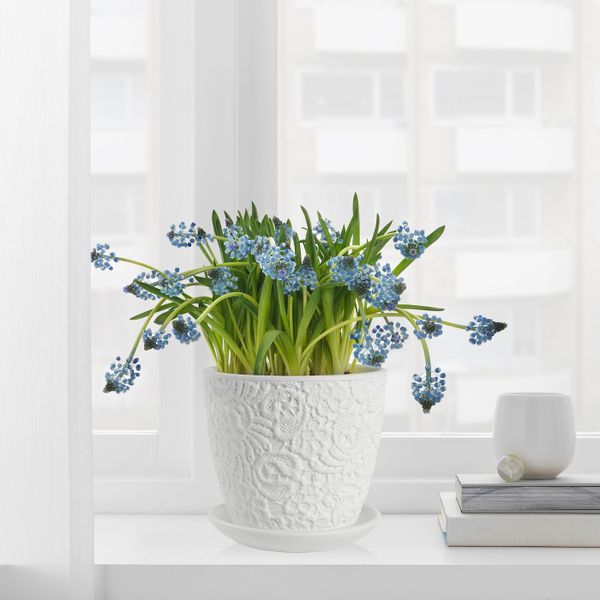 Горшок цветочный, белый, цветок, 12 см IKEA САЛЬПЕТЕР 504.484.46 - фото 2