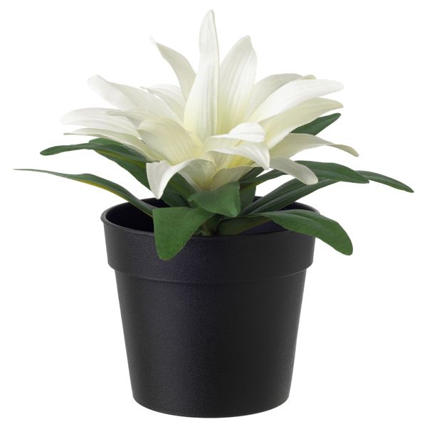 Искусственное растение в горшке ФЕЙКА, Бромелия белый (9 см) - схема-чертеж с размерами