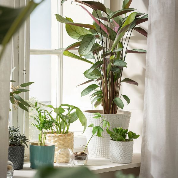 Кашпо, белый 19 см IKEA CHIAFRÖN ЧИАФРЁН 604.419.20 - фото 3