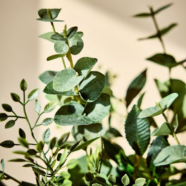 SMYCKA Искусственный букет - д/дома/улицы эвкалипт/зеленый 60 см - схема-чертеж с размерами