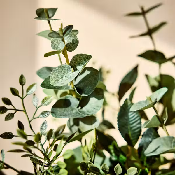 SMYCKA Искусственный букет - д/дома/улицы эвкалипт/зеленый 60 см - схема-чертеж с размерами