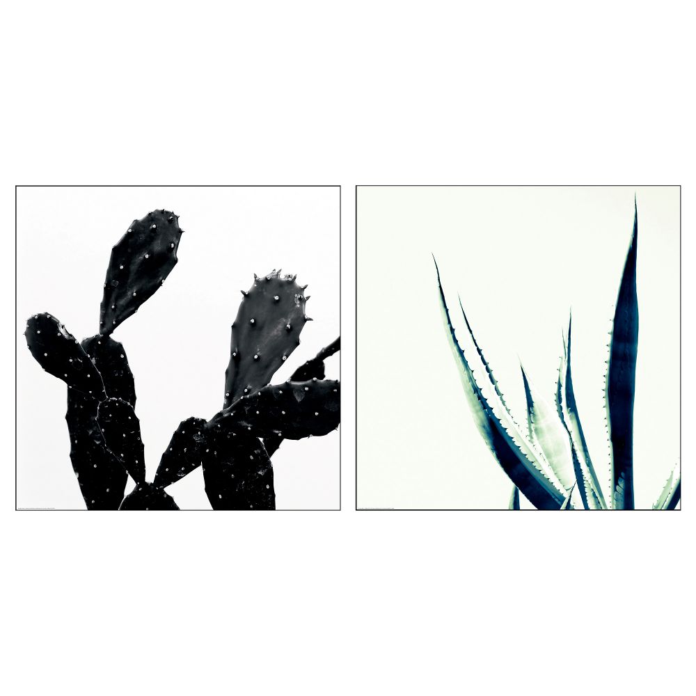 Постер, Кактус, 50x50 см IKEA DRÖMBILD ДРЁМБИЛЬД 804.418.20 - фото 1