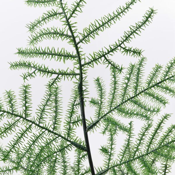 Искусственная ветка, для дома, улицы Аспарагус 55 см IKEA SMYCKA СМИККА 804.965.20 - схема-чертеж с размерами