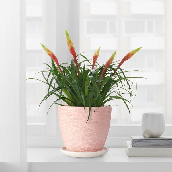 Горшок цветочный, светло-розовый 15 см IKEA СКАКИГ 104.313.58 - схема-чертеж с размерами