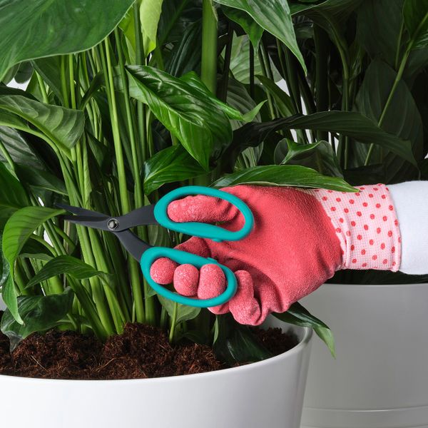 Ножницы для ухода за растениями, бирюзовый IKEA JACKFRUKT ЯККФРУКТ 704.523.57 - фото 2