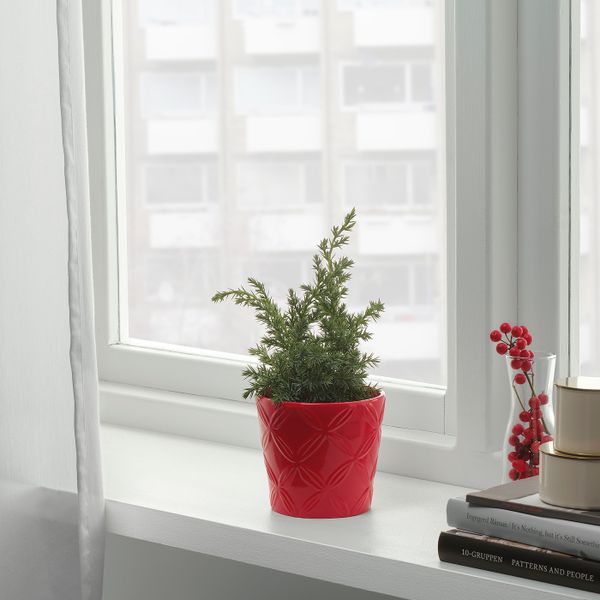 Кашпо, с рисунком красный, 9 см IKEA ВИНТЕРФЕСТ 304.329.17 - фото 2