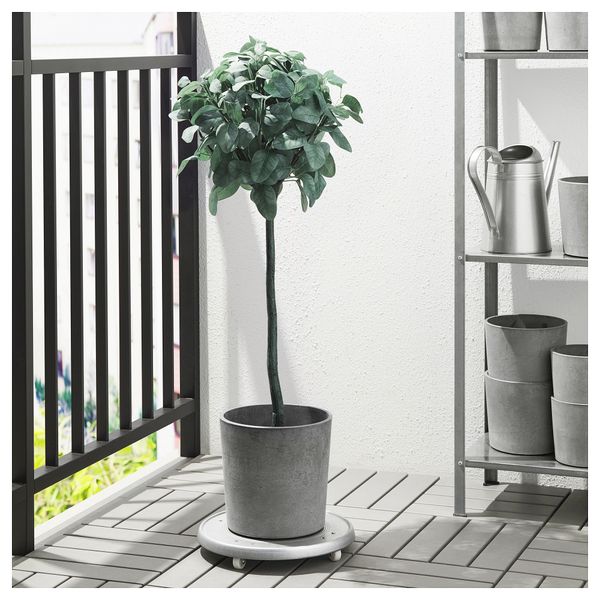 Искусственное растение в горшке ФЕЙКА, д/дома/улицы, эвкалипт стебель (15 см) - фото 2