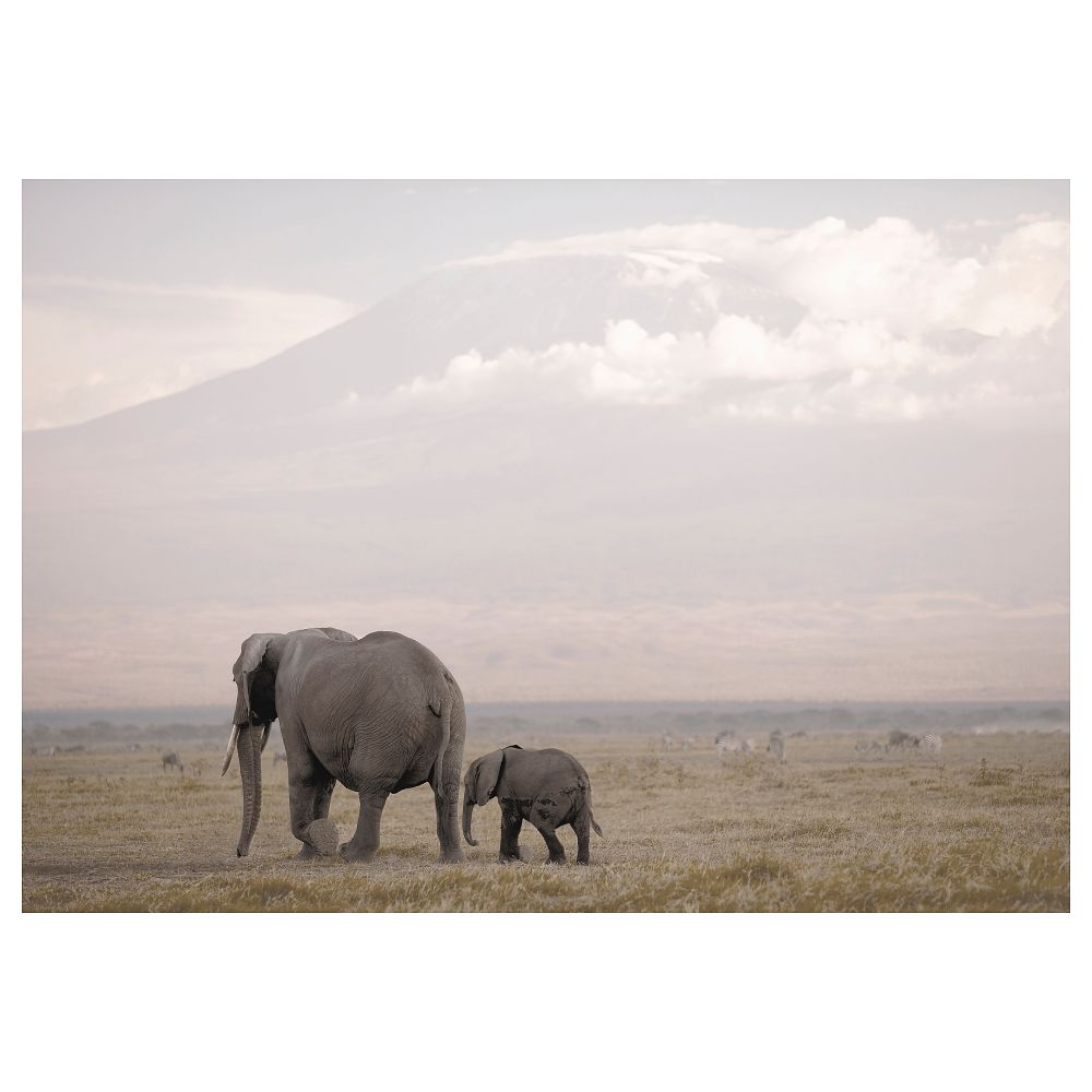 Холст, На прогулку, 200x140 см IKEA BJÖRKSTA БЬЁРКСТА 905.316.22 - фото 1