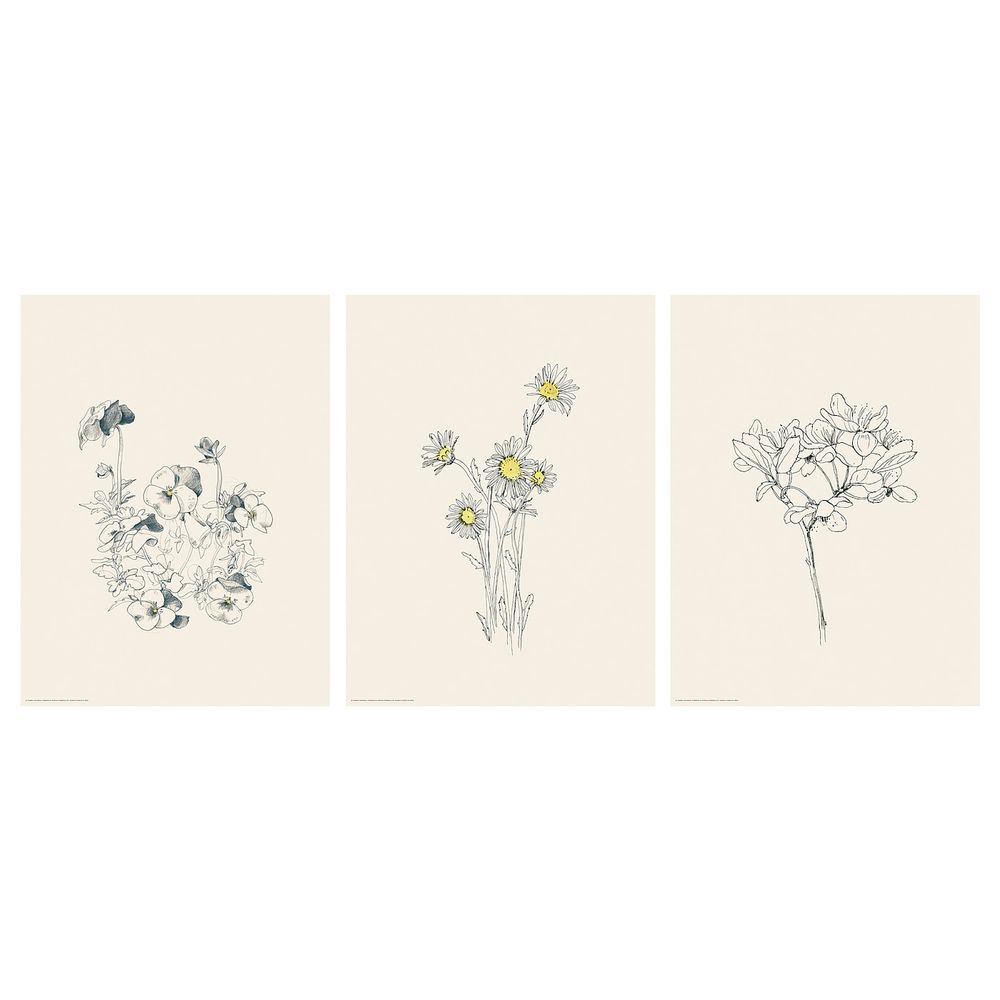 Постер, Цветы, 30x40 см IKEA БИЛЬД 904.321.70 - фото 1