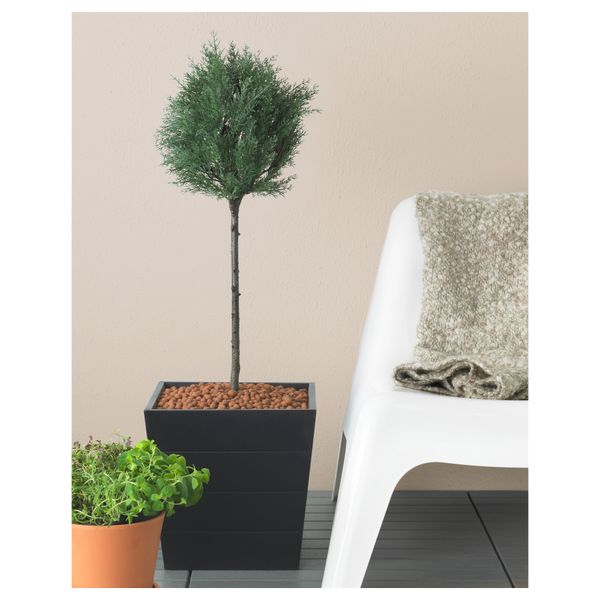 Искусственное растение в горшке ФЕЙКА, д/дома/улицы кедр, кедр стебель стебель (17 см) - схема-чертеж с размерами