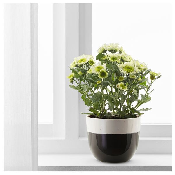 Кашпо СОММАР 2018, д/дома/улицы темно-серый темно-серый (12 см) - фото 2