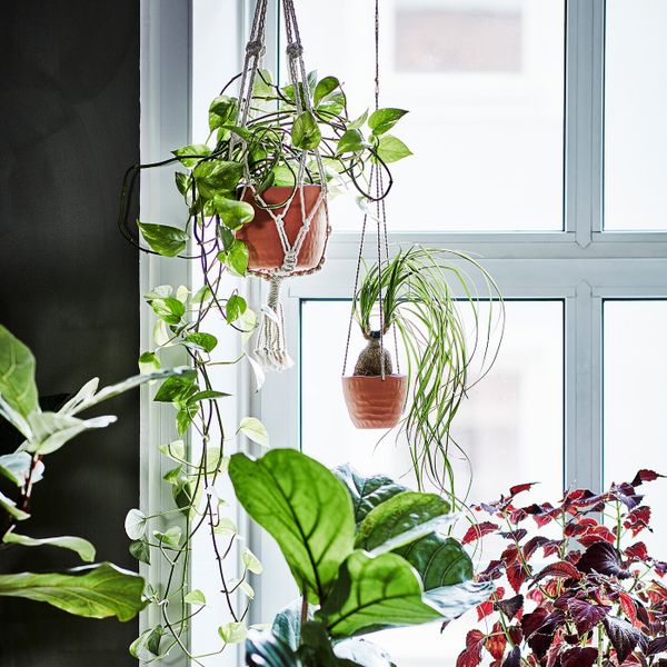 Кашпо, терракота ручная работа 15 см IKEA БОТАНИСК 904.665.32 - схема-чертеж с размерами