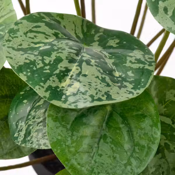 FEJKA Искусственное растение в горшке - д/дома/улицы Пилея 9 см - схема-чертеж с размерами