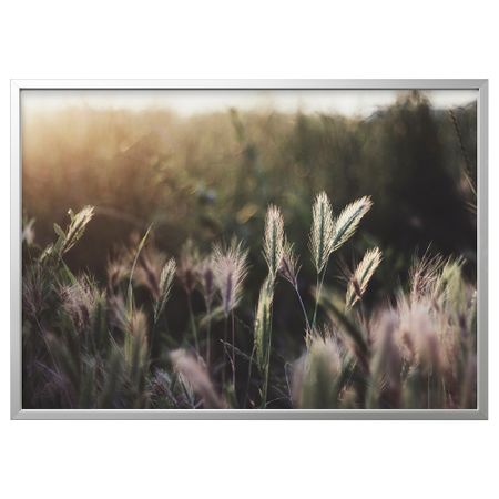 Картина с рамой, Сияющий закат, цвет алюминия, 140x100 см IKEA BJÖRKSTA БЬЁРКСТА 394.167.91