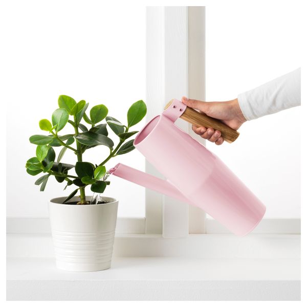 Лейка БИТТЕРГУРКА, розовый (2 л) - схема-чертеж с размерами