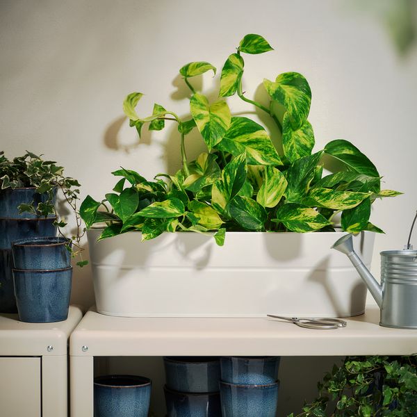 IKEA, дополнительный ракурс - схема-чертеж с размерами
