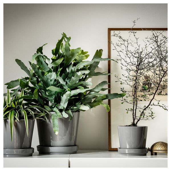 Горшок цветочный с поддоном, для дома, улицы серый, 15 см IKEA CITRUSFRUKT 205.084.32 - фото 5