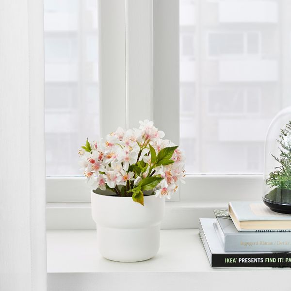 Кашпо, для дома, улицы белый 9 см IKEA FÖRENLIG ФЁРЕНЛИГ 204.548.20 - фото 4