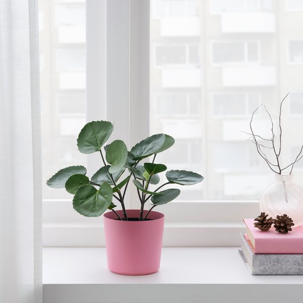 Кашпо, для дома, улицы/розовый 9 см IKEA OMFÅNG ОМФОНГ 104.639.00 - фото 5