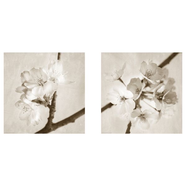 Постер, Майский цвет, 50x50 см IKEA DRÖMBILD ДРЁМБИЛЬД 604.424.15 - фото 1