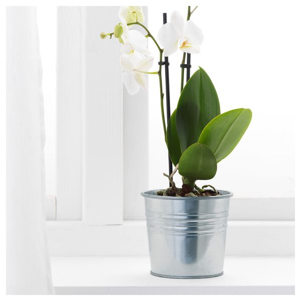 Кашпо СОККЕР, оцинковка д/дома/улицы, оцинковка (10.5 см) - фото 2