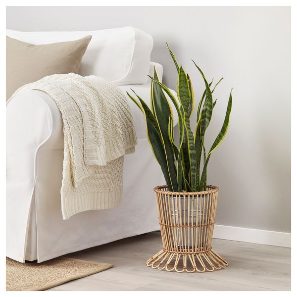 Пьедестал для цветов, ротанг 29 см IKEA KANELSTÅNG КАНЕЛЬСТОНГ 403.874.05 - фото 3