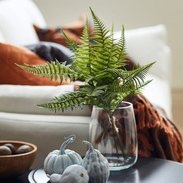 Искусственный букет, для дома, улицы/папоротник зеленый 44 см IKEA HÖSTKVÄLL ХЁСТКВЭЛЛ 704.975.63 - схема-чертеж с размерами