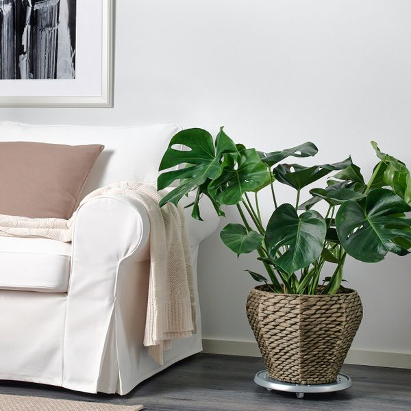 Кашпо, водный гиацинт/серый 24 см IKEA DRUVFLÄDER ДРУВФЛЭДЕР 603.716.82 - фото 2