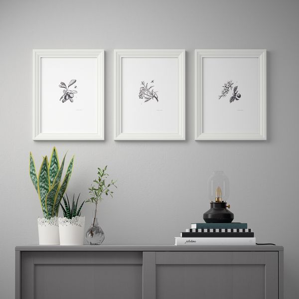 Постер, Плоды и цветы, 30x40 см IKEA DRÖMBILD ДРЁМБИЛЬД 804.361.83 - схема-чертеж с размерами