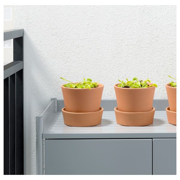 Растение в горшке, насекомоядное/различные растения 12 см IKEA GRÖNSKAN ГРЁНСКАН 003.975.81 - фото 4