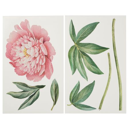 Декоративные наклейки, Розовый пион 116 см IKEA KINNARED КИННАРЕД 604.468.28