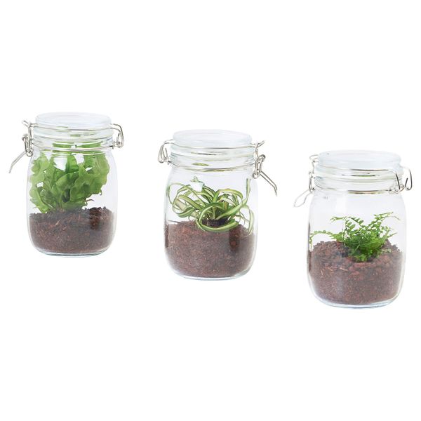 Флорариум, в банке, различные растения 1.1 л IKEA BLADVERK БЛАДВЕРК 104.862.80 - схема-чертеж с размерами