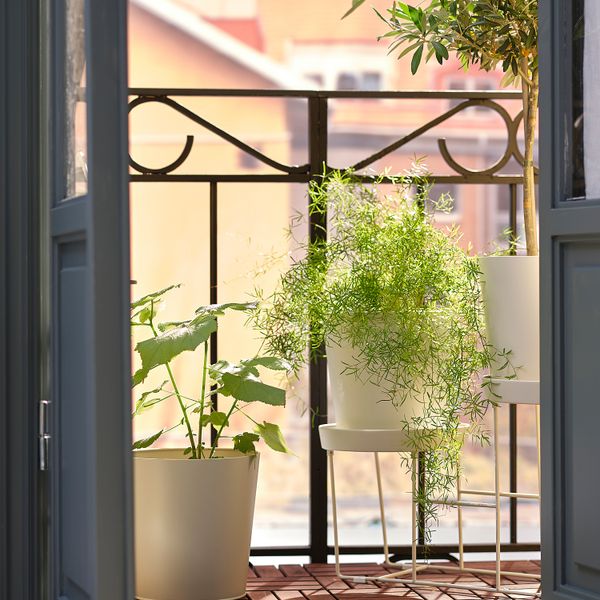 Настил, для улицы, коричневая морилка, 0.81 м² IKEA RUNNEN РУННЕН 902.342.26 - фото 5