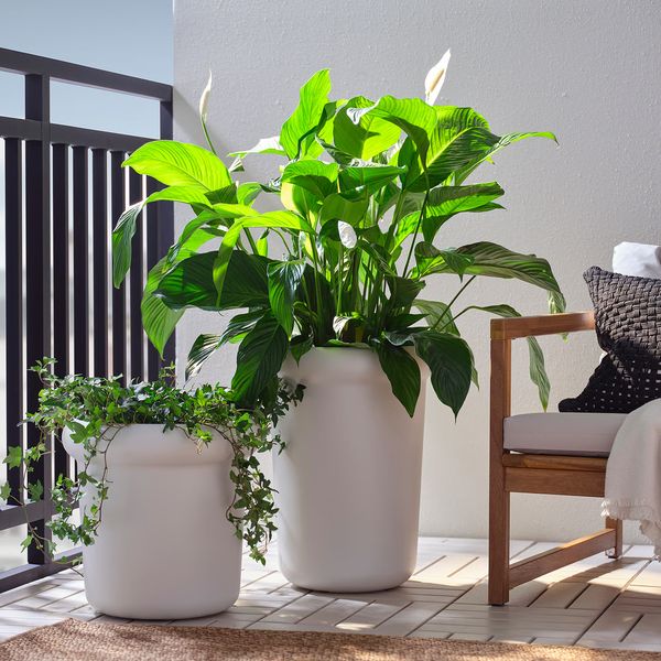 MÅBÄRSBUSKE МОБЕРСБЮСКЕ Горшок цветочный - фото 2