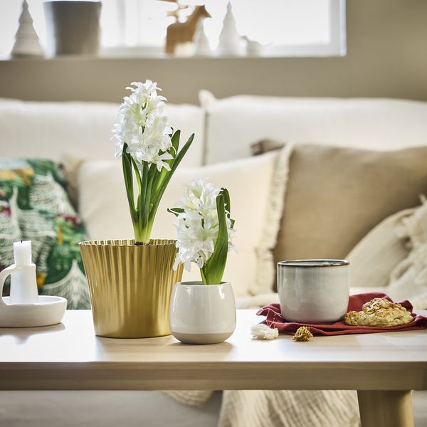 Кашпо, золотой, 12 см IKEA VINTERFINT 405.797.63 - схема-чертеж с размерами