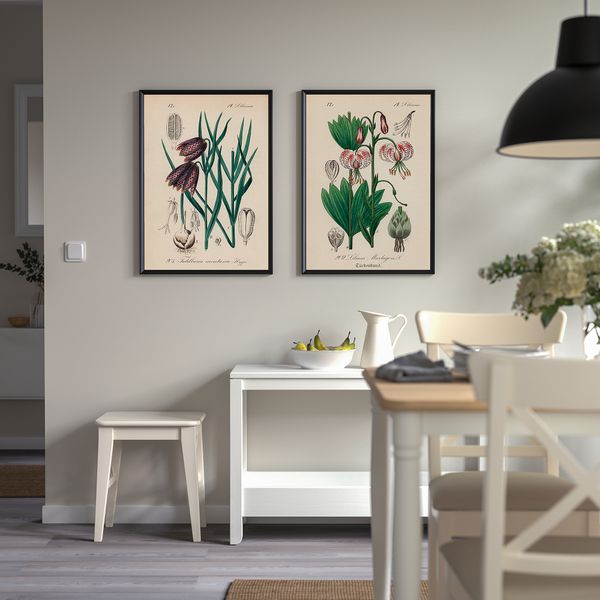 Постер, 50x70 см, Лилия кудреватая IKEA DRÖMBILD ДРЁМБИЛЬД 405.680.62 - схема-чертеж с размерами