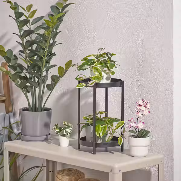 FEJKA Искусственное растение в горшке - д/дома/улицы/восковое дерево подвесной 9 см - фото 3