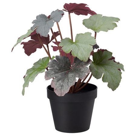 Искусственное растение в горшке, для дома, улицы Пятнистая герань 12 см IKEA FEJKA ФЕЙКА 303.953.02