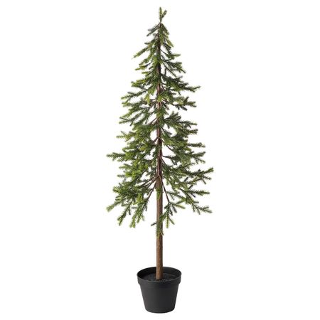 Искусственное растение в горшке, для дома/улицы рождественская елка, ель, 12 см IKEA ВИНТЕРФЕСТ 304.370.24