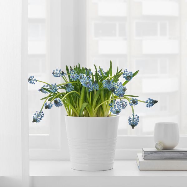 Кашпо, белый 12 см IKEA MUSKOT МУСКОТ 303.781.90 - фото 3