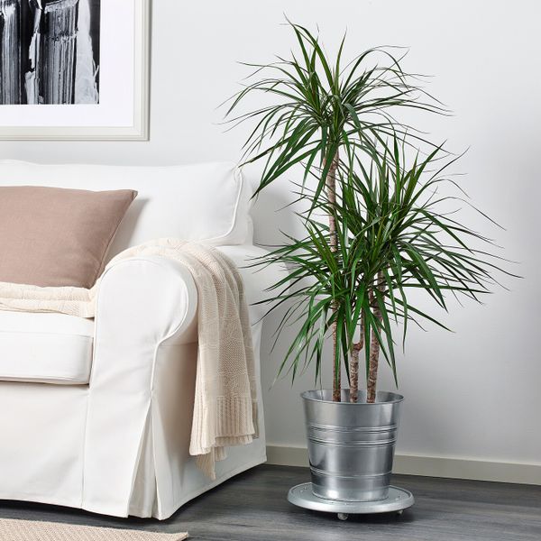 Кашпо, для дома, улицы/оцинковка 24 см IKEA SOCKER СОККЕР 003.947.66 - фото 3